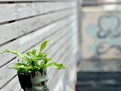 -nodcafe(M50创意园店)