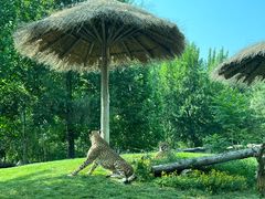 -北京野生动物园