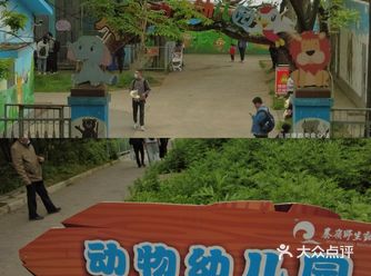 LIFE|看小老虎打架喂小鹿吃草