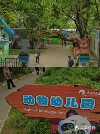 LIFE｜看小老虎打架喂小鹿吃草