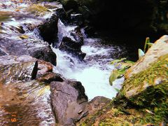 -莫里热带雨林景区