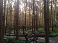 -上海怡沁园度假酒店