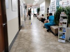 -美联众合动物医院·24h转诊中心