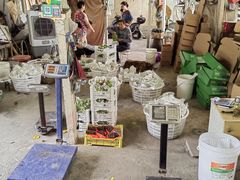 -马陆小张葡萄园农家乐