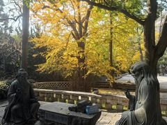 -青岛崂山太清宫