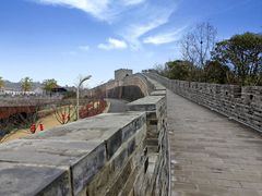 -黄贤森林公园