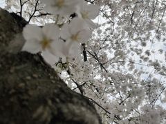 -苏州上方山国家森林公园