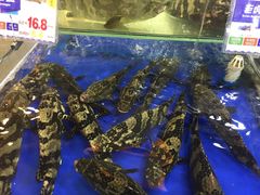 -东江海鲜酒家(艺都分店)