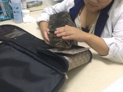 -莘程宠物医院(金山店)