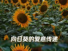 -大宁公园