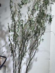 点击看大图 -瞧·享轻奢美甲美睫