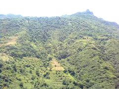 -黑河国家森林公园