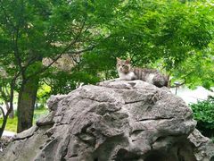 -静安公园(静安寺街道)