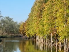 -小六农家乐(崇明西沙湿地店)