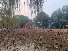 -四川大学(望江校区)