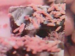 -鲜芋仙(苏州干将店)