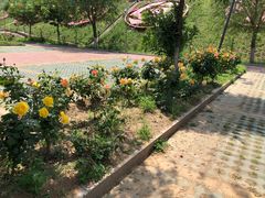 门面-密云玫瑰情园