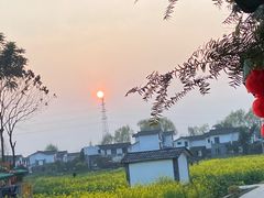 -桤木河湿地公园