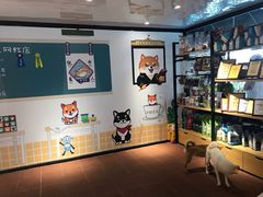 -柴犬高等学院·狗咖·柴犬售卖·宠物训练