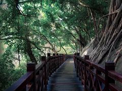 -乌山风景区