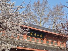 -堤角公园