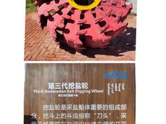 -茶卡盐湖