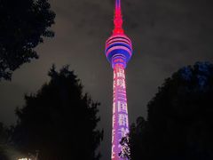 -龟山风景区-龟山电视塔