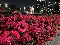 -深圳湾公园(南山区)