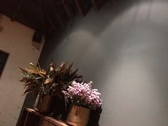 景观位-米泰MiThai