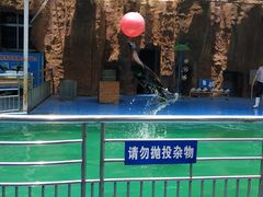 -临沂动植物园