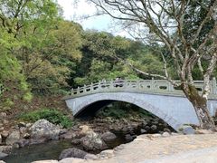 -广州市石门国家森林公园