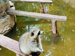 -长鹿旅游休博园