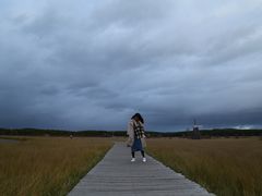 -塞罕坝国家级自然保护区