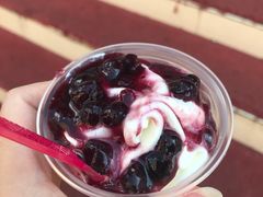 -蜜雪冰城(托乐嘉店)