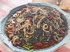 刺五加呛毛肚-绿草墩