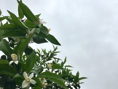 -樱桃山旅游景区