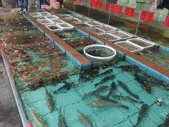 -景好海鲜餐厅(大鹏必选旅游店)