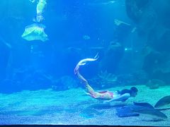 -沕沕水生态风景区