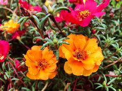 -镇江润扬大桥酒店