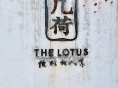 -几荷·恰似故人来(秀水广场店)