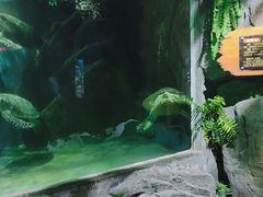 -蓬莱欧乐堡海洋极地世界