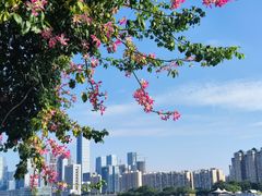 -海心沙亚运公园