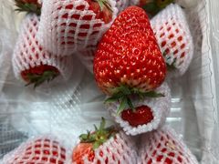 -水果地带(中航国际店)