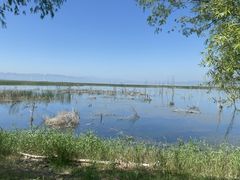 -野鸭湖国家湿地公园