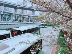 -上海南浦大桥长途旅游客运站
