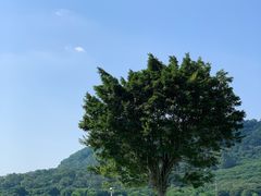 -艾米稻香小镇