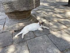 -四门塔风景区