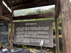 -杨家堂村