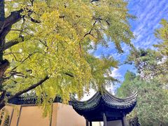 -惠山古镇·寄畅园