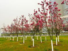 -无锡新湖铂尔曼大酒店